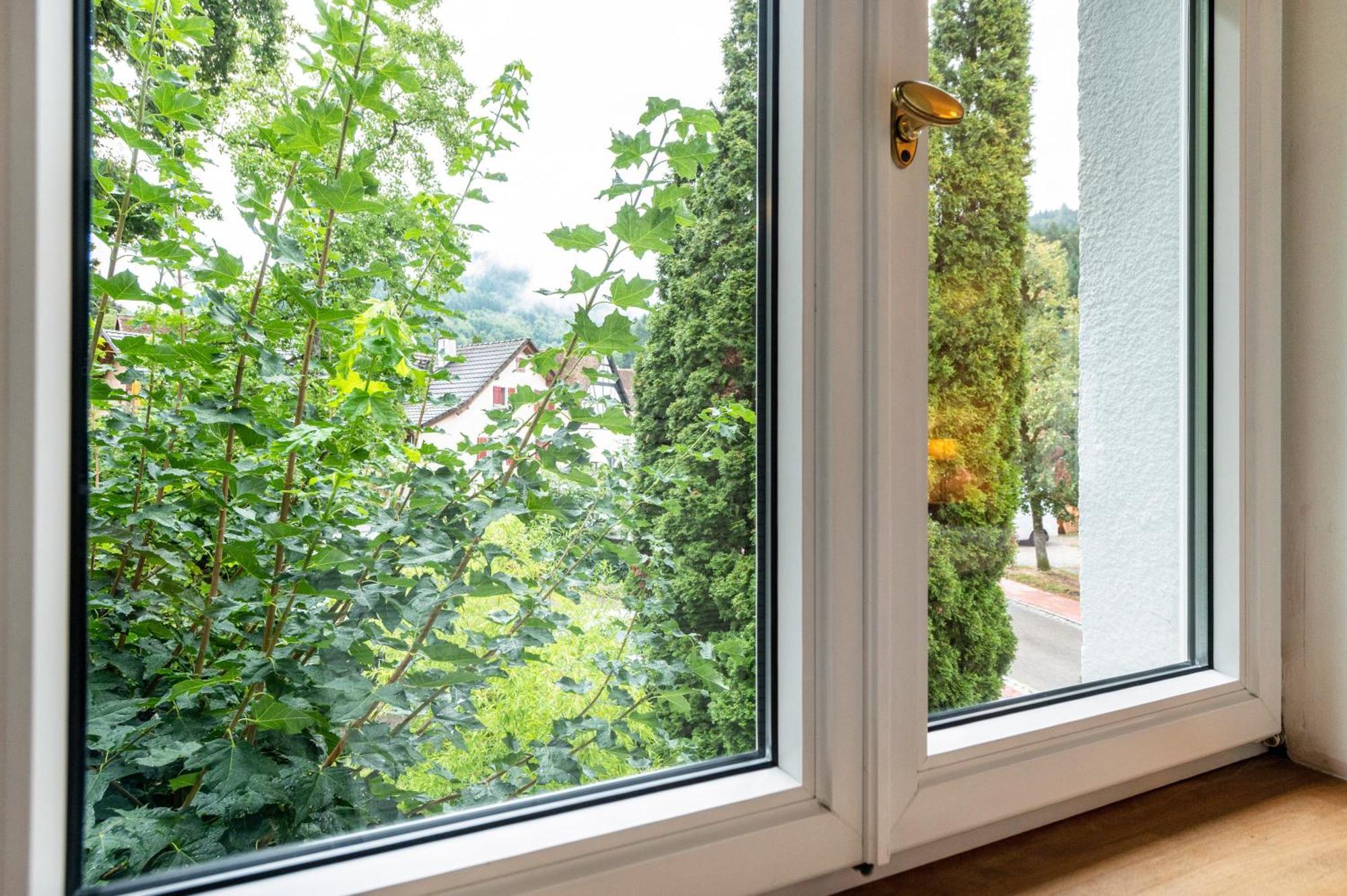 באדנוויילר Appartement Waldhorn מראה חיצוני תמונה