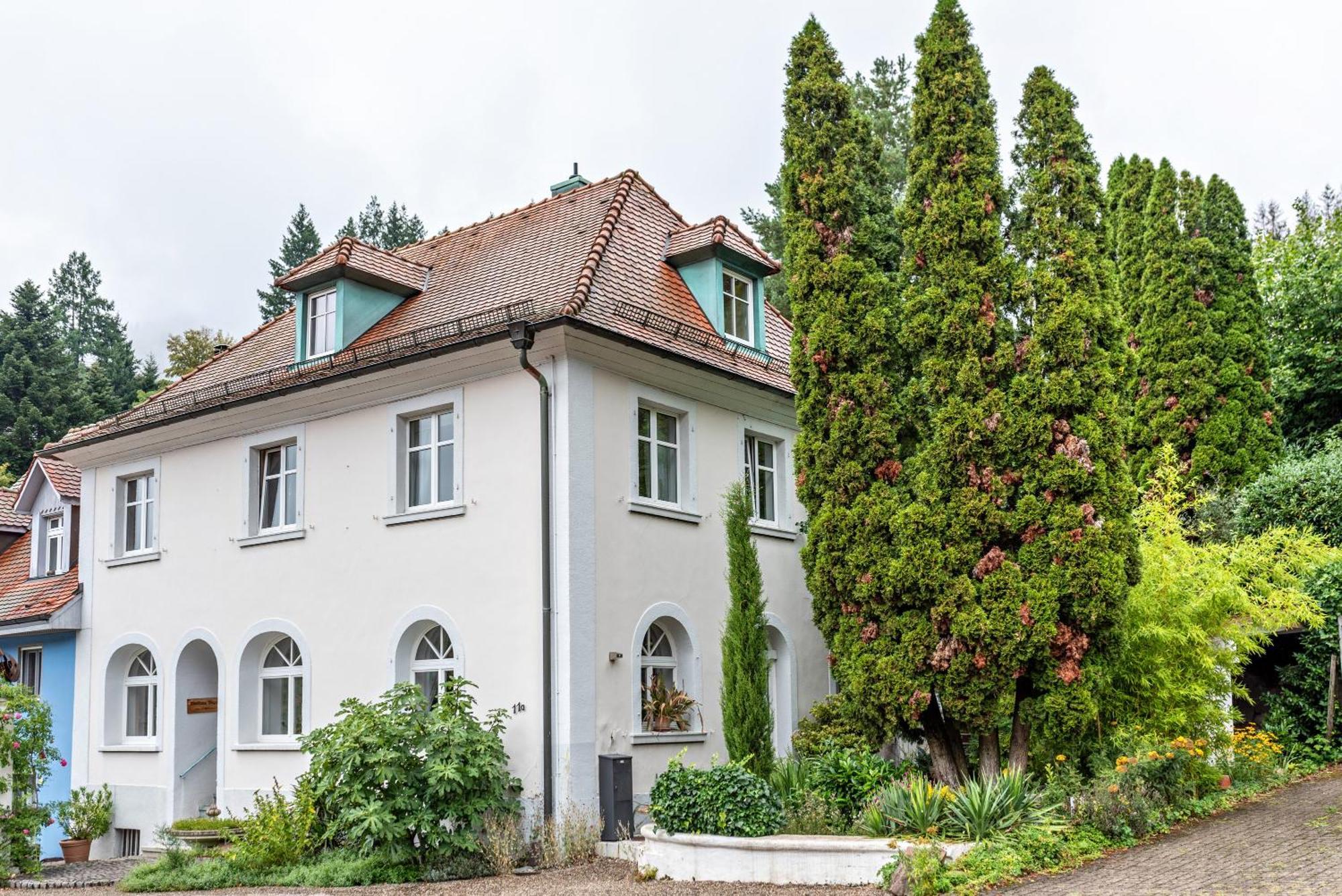 באדנוויילר Appartement Waldhorn מראה חיצוני תמונה